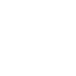 Mannix Icon Wifi